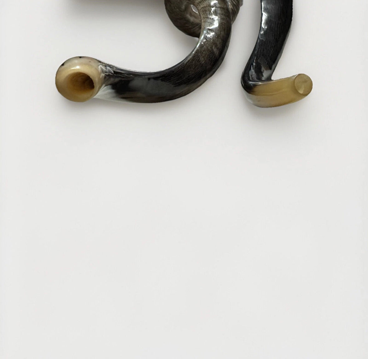 Yemenite Shofar Kudu Horns Set XXL 45” + 24”-26” New Kosher Half Polished