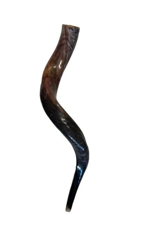 Yemenite Shofar Kudu Horn 27”-32”(70-85cm) Half Polished Kosher