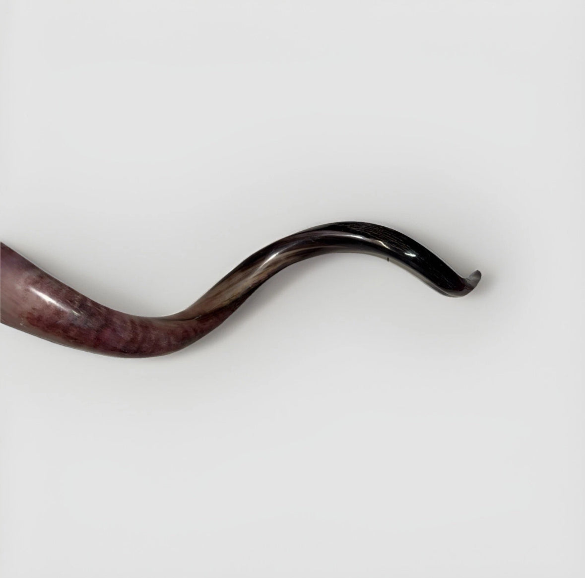 Yemenite Shofar Kudu Horn 50”-55” XXXL New Kosher Made Full Polished