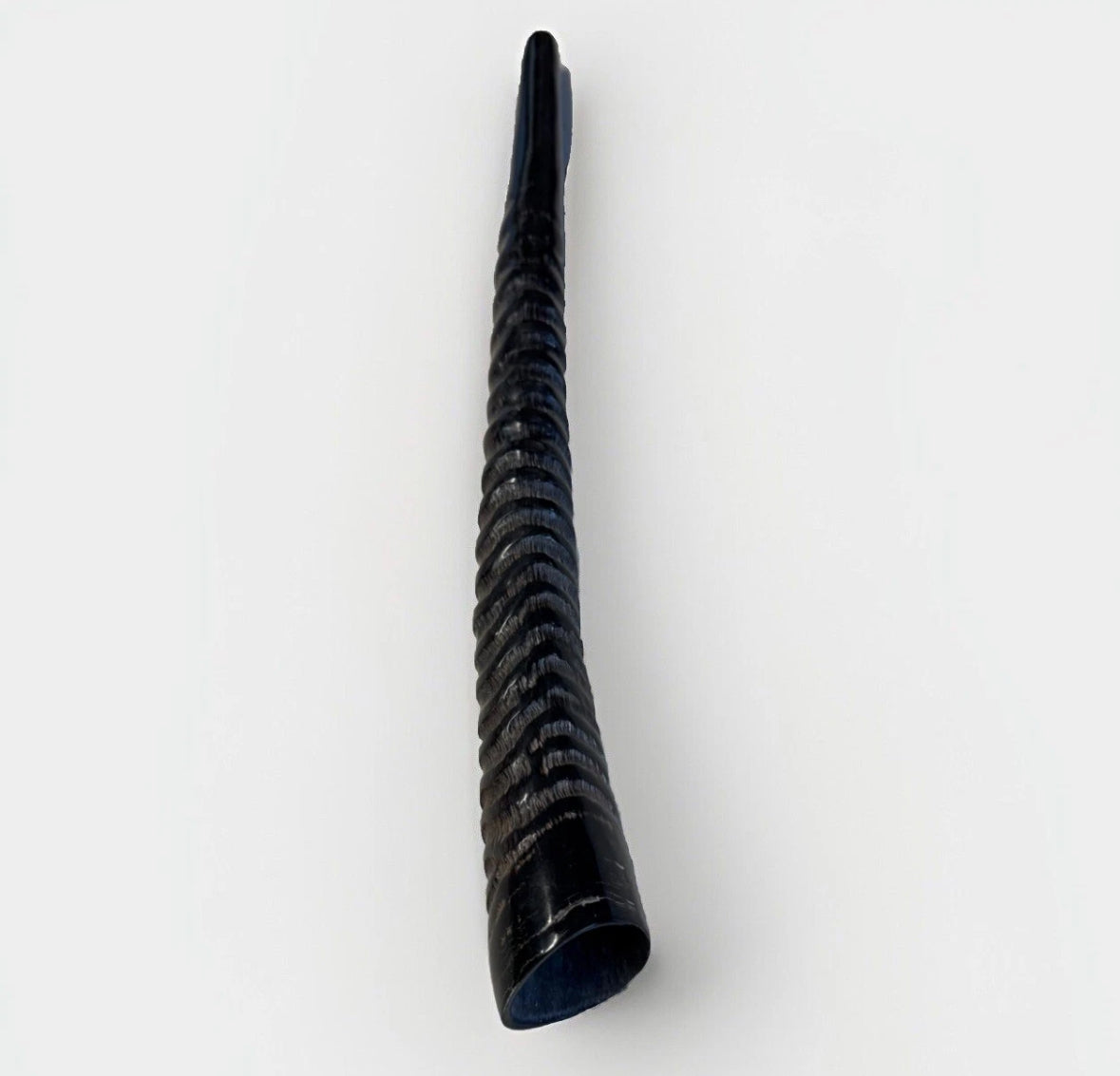 Oryx Horn Shofar Rare XL 18”-27” New Kosher Made