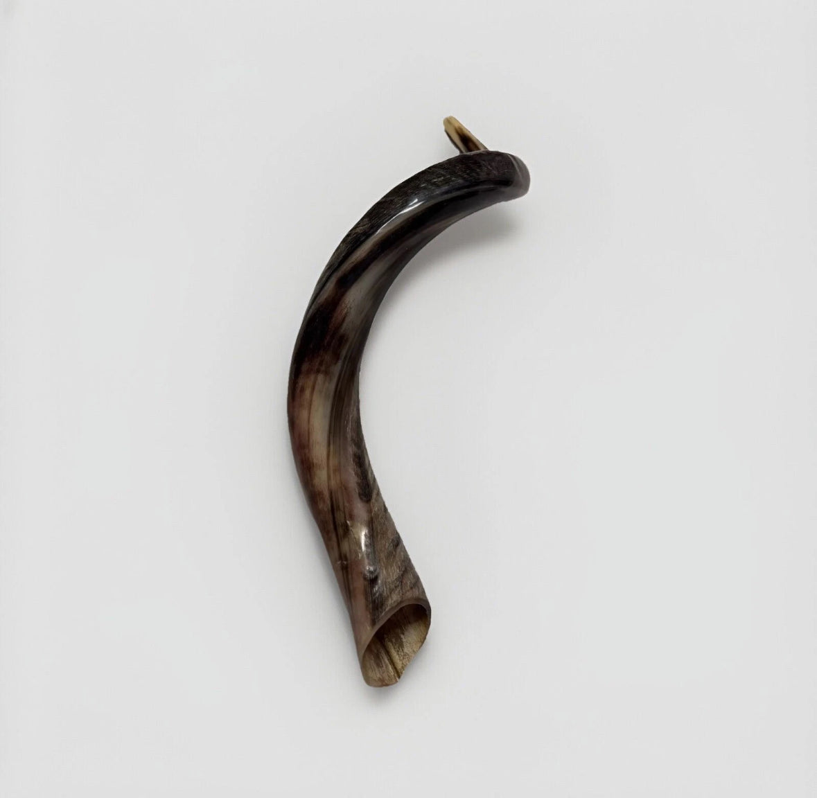 Yemenite Shofar Kudu Horn 24”-27”' New Kosher Made Half Polished
