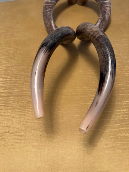Twin Yemenite Kudu Horn Shofars Set 49” XXXL Rare Half Polished Kosher