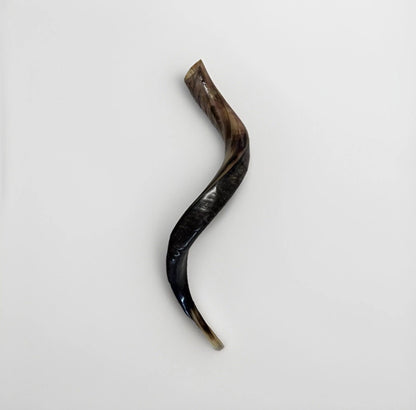 Yemenite Shofar Kudu Horn 24”-27”' New Kosher Made Half Polished