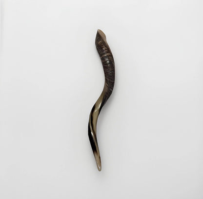 Yemenite Shofar Kudu Horn 24”-27”' New Kosher Made Half Polished