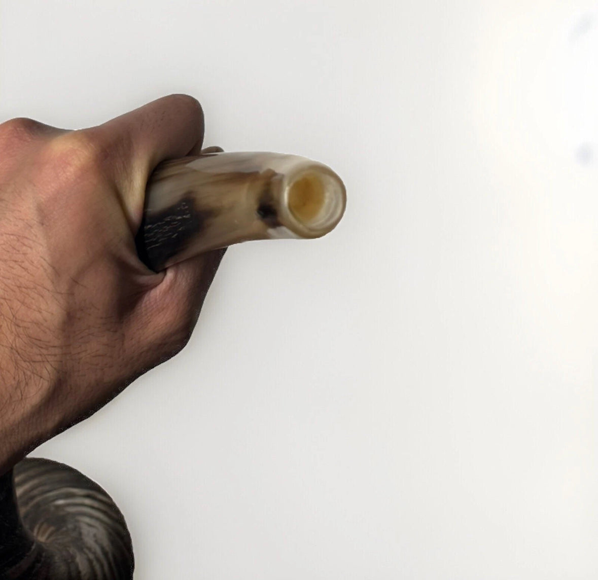 Yemenite Shofar Kudu Horn 31”-41” XL New Kosher Half Polished