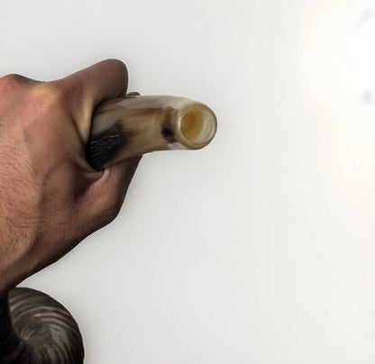 Yemenite Shofar Kudu Horn 31”-41” XL New Kosher Half Polished