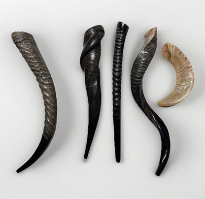 Eland Oryx Waterbuck Kudu Blesbok Shofar Horns 18”-27” Rare Set