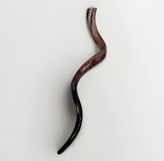 Yemenite Shofar Kudu Horn 50”-55” XXXL New Kosher Made Full Polished
