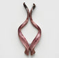 Twin Yemenite Kudu Horn Shofars Set 54" XXL Rare New Kosher Made Full Polished