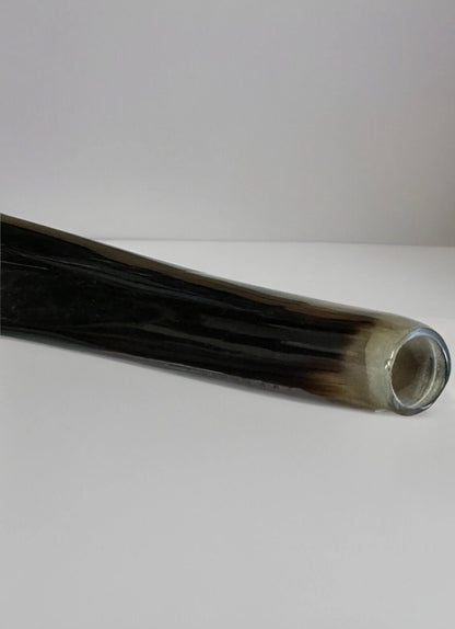 Yemenite Shofar Kudu Horn 27”-31”(70-80cm) New Half Polished Kosher