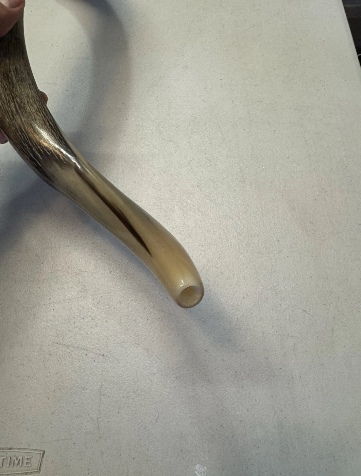 Yemenite Shofar Kudu Horn XXXL 50”-55" New Kosher Made Half Polished