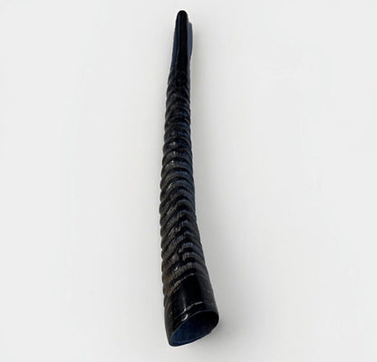 Oryx Horn Shofar Rare XL 18”-27” New Kosher Made