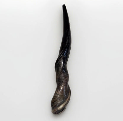 XL Eland Horn Shofar Horn Rare 18”-27” New Kosher Half Polished