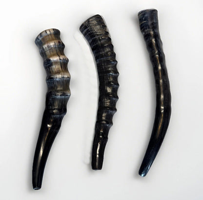Blesbok Horn Shofar Rare 10”-12” New Kosher Made