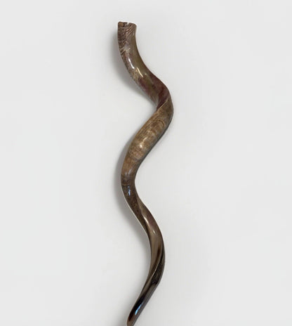 Yemenite Shofar Kudu Horn XXXL 50”-55" New Kosher Made Half Polished