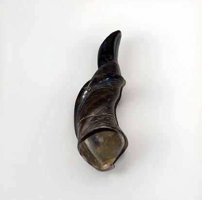 XL Eland Horn Shofar Horn Rare 18”-27” New Kosher Half Polished
