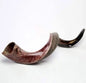 Yemenite Shofar Kudu Horn 31”-35”/ 35”-41” XL New Kosher Half Polished
