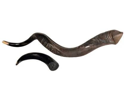 Yemenite Shofar Kudu Horn Set XL 30”-35”+Free Gift Kosher Half Polished New
