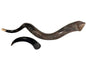 Yemenite Shofar Kudu Horn Set XL 30”-35”+Free Gift New Kosher Made Half Polished